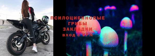 тгк Вязьма
